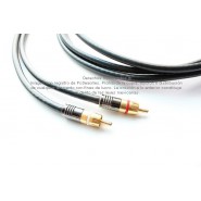 Cable Digital RCA Audio R/L 40 m, 2 vías